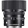 シグマ 45 mm F 2 . 8 DG DN [ ソニー E 用 ]