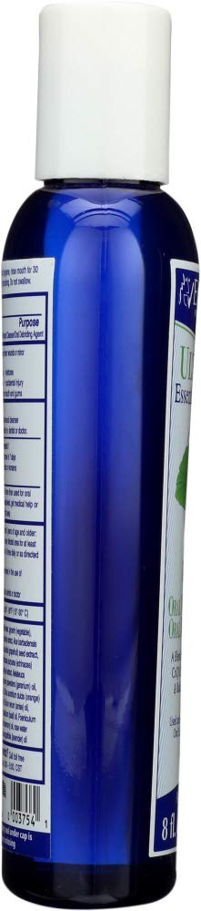 Eco-Dent Mint Mouth Rinse 4x 8OZ