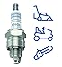 Bosch WR10FC - Spark Plugs for Gardening and Forestry - 1 Piece