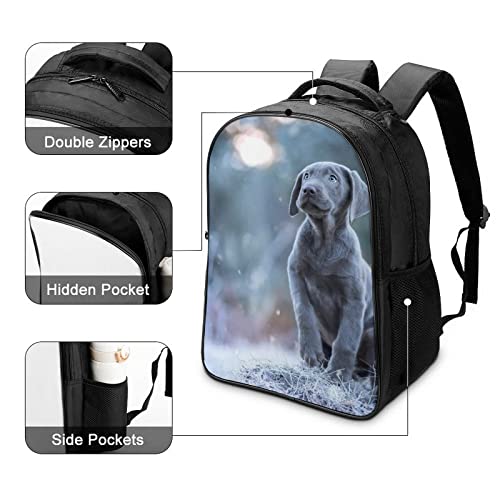 Mochila escolar cómoda de delfín que alivia la espalda infantil 4