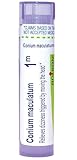 Boiron Conium Maculatum 1M for Dizziness Triggered by Moving The Head - 80 Pellets