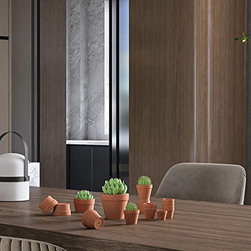 Fcacti 4 Inch Terra Cotta Pots with Drainage - 10 Pack Small Terracotta Pots for Tiny Cactus Herb lithop, Clay Flower Pots, Great for Plants, Crafts, Wedding Favor by Fcacti - Image 3