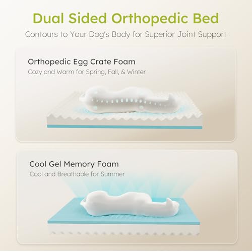 CWAWZ Extra Large Dog Bed, Orthopedic Dog Bed with Cooling Gel Memory Foam, Waterproof XL Pet Bed with Removable Washable Cover, 42" Pet Sofa Couch Dutch Velvet with Bone Toy, Light Gray