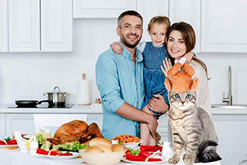 Cat Turkey Drumstick Hat Cat Small Dog Halloween Thanksgiving Turkey Drumstick Headband Headgear Costume For Small Dog Kitten #TOP4