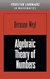 Algebraic Theory of Numbers