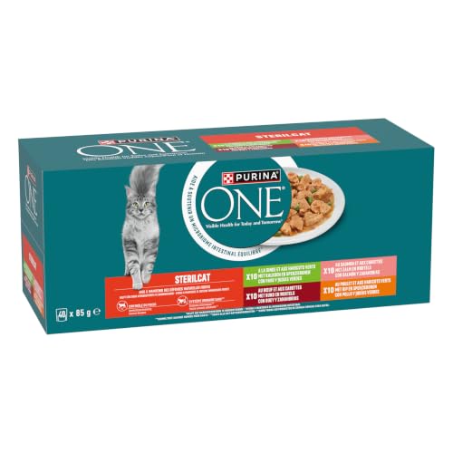 Purina ONE Bifensis Comida Húmeda para Gato Esterilizado Adulto con Salmón y Zanahorias, 40 Sobres de 85g