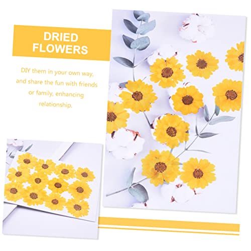 96 unidades flores secas para manualidades DIY miniatura 3