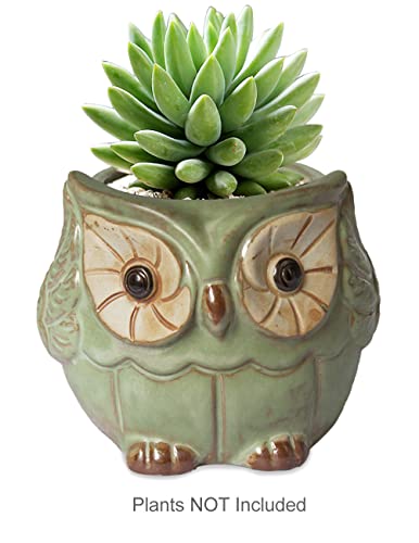 Dahlia 4" Hear No Evil Owl Handmade Ceramic Succulent Planter/Plant Pot/Flower Pot, Green #TOP2