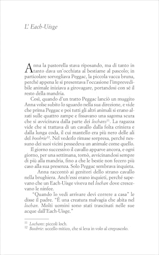 Elfi E Streghe Di Scozia - 3