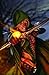 Grimm Fairy Tales: Robyn Hood