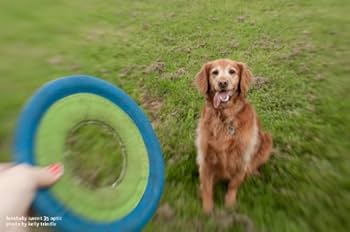 LENSBABY ユニークレンズ レンズベビー Composer Pro Sweet 35 35mm オプティック付属 ニコンF用 フィルム/デジタル一眼対応 Amazon.co.jp: LENSBABY ユニークレンズ レンズベビー Composer