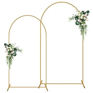 2 Pack Arch Backdrop Stand (7.2FT/6...