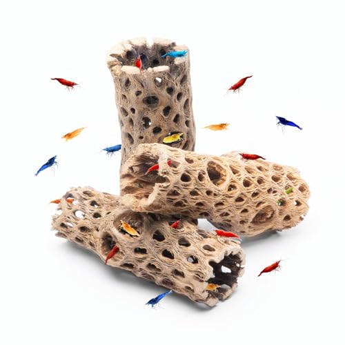 SubstrateSource Natural Cholla Wood - Driftwood for Aquariums, Air Plant Base, Hermit Crab and Freshwater Shrimp Hideout, Fish Tank Decoration, Chinchilla Chews, Reptile Habitat Wood - 6 Inch, 3pc