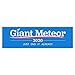 Artisan Owl Giant Meteor 2020 Just End it Already - Funny Auto Car Politics 3x10 Magnet (1 Magnet)