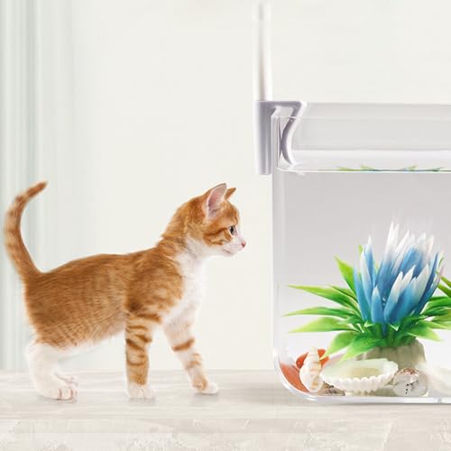 Mini tanque de acuario de cristal resistente con luces LED de clip y base 7