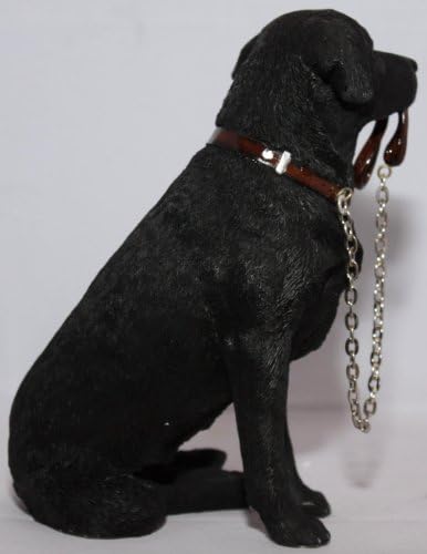Black Labrador Sitting With Lead In Mouth - Walkies
