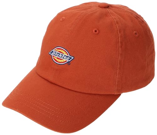 [Dickies] 80313200-0065-0000 DK EX ICON LOWCAP