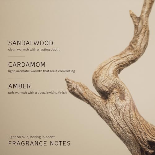 Image of The Bare Bar Sandalwood & Oud Natural Deodorant Stick 28g | Up to 24-Hour Odour Control | Long-Lasting Freshness | Aluminium-Free, Baking Soda-Free | No White Marks, No Staining | For Men & Women