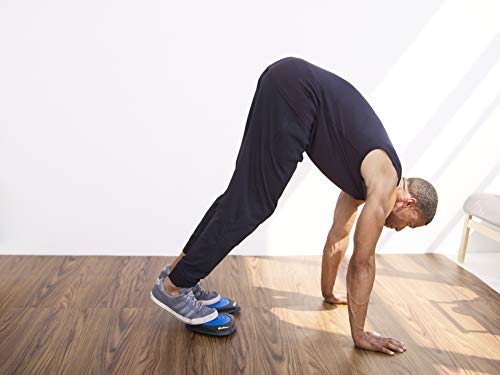 Flyte Fitness Core Flyte - Increase Athletic Performance, Build A Rock-Solid Core And Abs, Activate More Muscle (Pair, Online Workout Videos, Carrying Case, And Guide) #TOP3