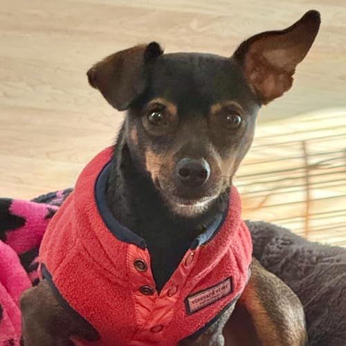 Ep. 86 - The Porch Friday Podcast Por  arte de portada