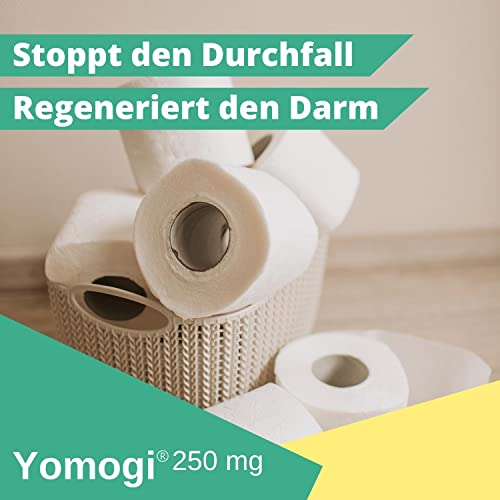 Durchfalltabletten Yomogi 250 mg zur Behandlung und Vorbeugung