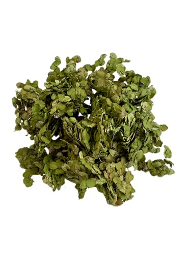 5,000+ Dry Duckweed (Spirodela Polyrhiza) Plants, 1 Pint, Freshly Dried