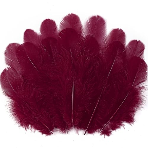 Soarer Burgundy Craft Feathers Bulk for Crafting Supplies,300Pcs,3-5inch