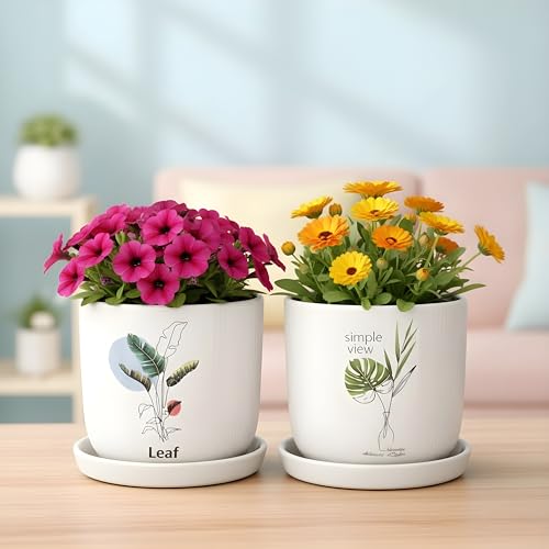 Image of Xtore Aureflora Ceramic Planter with Drainage Tray | Artistic Floral Print Pot for Home, Study Table & Window Decor - (White, 2 Piece, Planter ONLY)