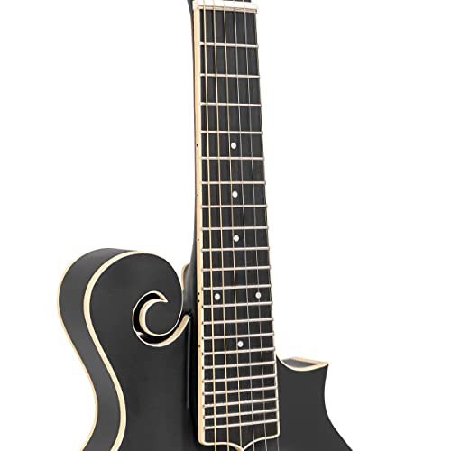 Gold Tone, 6-String Mandolin, Sunburst (F-6) #TOP3