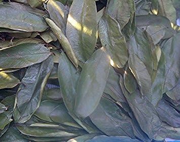 EAST-J Air-dried Soursop Leaves (1 Lb - 16 Oz)