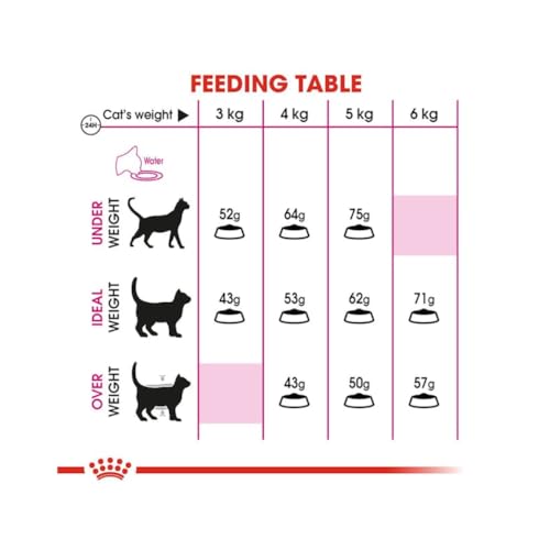 Royal Canin Protein Exigent | 400 g | Alleinfuttermittel für besonders wählerische Katzen ab dem 12. Monat | Enthält einen speziell angepassten Energiegehalt