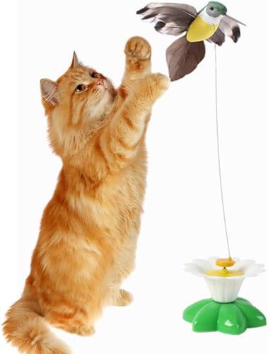 L L{[ Ld  lV Lʔd 360 x]\ȃn`ȟ`dL ybgLCZeBum\ߋ L̃v[g Lbߋ₵ XgX ^s΍̃ybgpi qL 