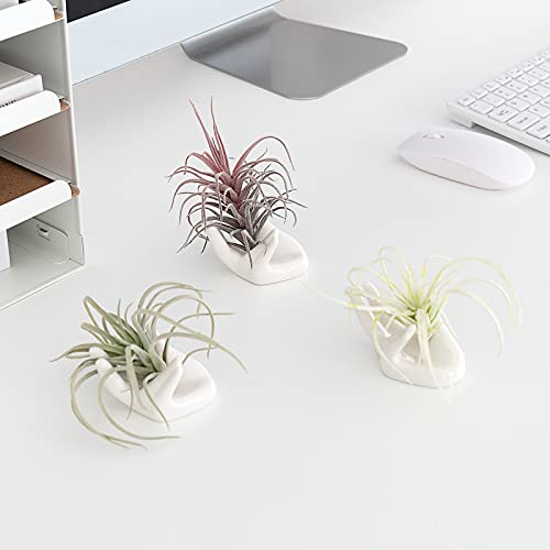 Dahey Air Plant Holder Cute Ceramic Mini Hand Shape Stand Airplants Tillandsia Small Container Pot Plant Decorative Home Decor For Desk Table Shelf,White,3 Packs #TOP2