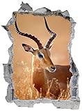 DesFoli Gazelle Tier Savanne Afrika Wandtattoo Wandsticker Wandaufkleber E0901 Größe 46 cm x 62 cm, Größe 46 cm x 62 cm
