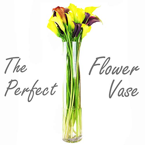 Cys Excel Clear Glass Cylinder Vase (H:24" D:4") | Multiple Size Choices Glass Flower Vase Centerpieces | Hurricane Floating Candle Holder Vase #TOP2