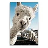 Die Deko-Bilder werden fertig aufgespannt in sicherer Versandverpackung geliefert. Der Massivholz-Rahmen aus nachhaltigem Anbau sorgt für hohe Form Stabilität