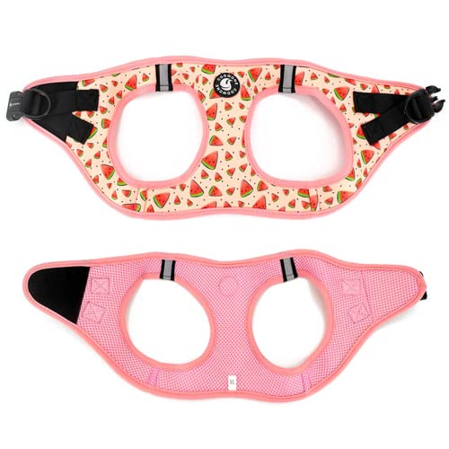 Step In Dog Harness And Leash Set, Reflective Dog Harness And Leash No Pull Dog Harness For Small Medium Large Dogs And Cats, Watermelon #TOP6