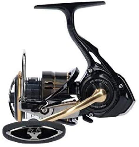 Daiwa (DAIWA) Reel 19 Ballistic LT3000 : Amazon.ca
