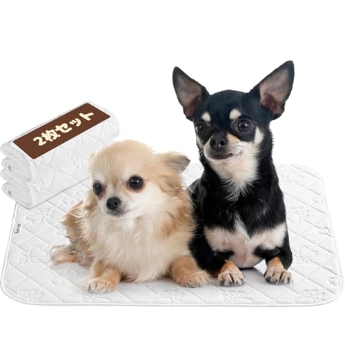 KYG 􂦂ybgV[c }bg gC~}bg ybg}bg ۂƐ􂦂 ~ߒ JԂg L p (zCg, 67x50cm 2)