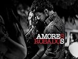 Amores Robados