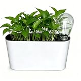 Yaghpy Self Watering Pots for Indoor Plants,12.5ββ Oval Planter with Lantern Type Water Storage Tank Level Indicators for Plants & Flower Outdoor Pothos Herb pots, Window Box (1 Set, White)