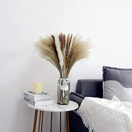 Pampas Grass Brown, Buquê de grama de pampas naturais - arranjos de flores secas inclui grama marrom