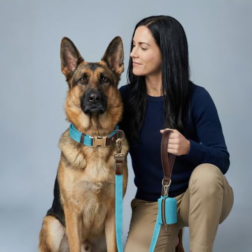 Image of Didog PU Leather Dog Collar for Large Dogs, Soft Nylon Lining,Light Blue XL