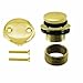 Westbrass Tip Toe Universal Tub Trim with Two-Hole Faceplate in Polished Brass