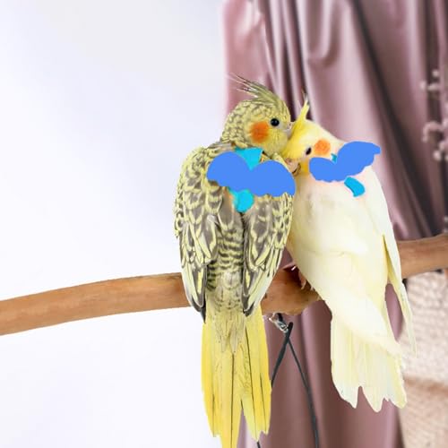 Image of Adjustable Bird Leashes and Harnesses, Bird Nylon Harness with Cute Wing for Parrots, Pet Bird Accessories, Bird Leash for Hang Out, Suitable for Cockatiel, Quaker, Amazon Parrot and Same Size Birds