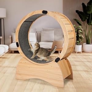 Cat Wheel (Basic Model)