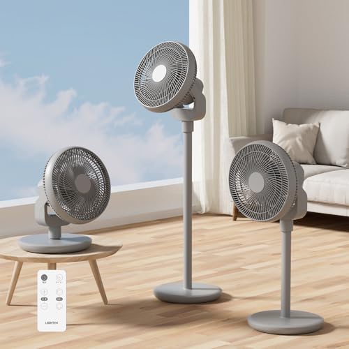 Amazon.co.jp: CHISYOU