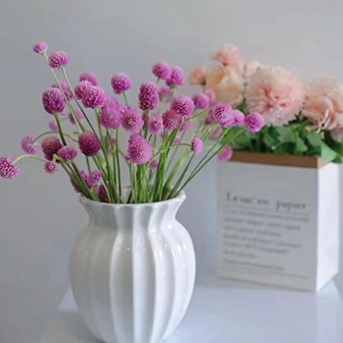 10 PCS Dried Flowers Globe Amaranth in Bulk, 3oz Pink Gomphrena Flower Bouquet 16", 100% Naturally Dried Flowers Arrangement, DIY Craft Supply, Home Garden Vase Decoration，Wedding Flower Decor. - Thumbnail 5