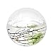 EcoSphere Small Sphere