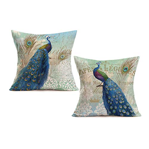 Royalours Throw Pillow Covers 2Pack Colorful Peacock With Vintage Feather Decorative Square Pillowcases Cotton Linen Throw Pillow Case Cushion Cover 18 X 18 Inch (Peacock Tail) #TOP4